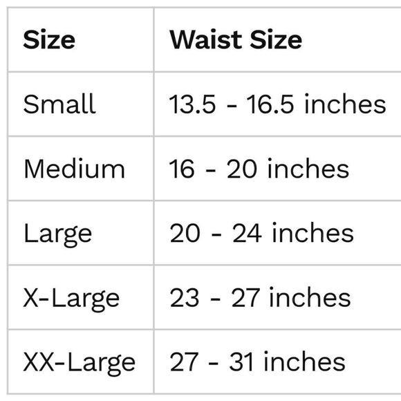 ALFIE RED UNISEX DOG DIAPER WASHABLE REUSABLE SIZE LARGE NWOT - Picture 6 of 7